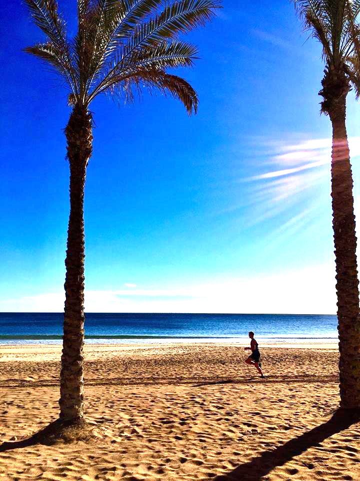 https://www.lamarinaresort.com/ Bungalows Reservas: info@orientabonito.com Precio: En grupos de tres o más grandes: 24 euros por persona y noche. Dos personas: 36 euros por persona y noche. Suelo duro (por concretar) https://www.lamarinaresort.com/ Bungalows Booking: info@orientabonito.com Price: Groups of three (3) or bigger 24 euros per person and night. Two persons: 36 euros por persona y noche. Hard floor (not decided where yet)